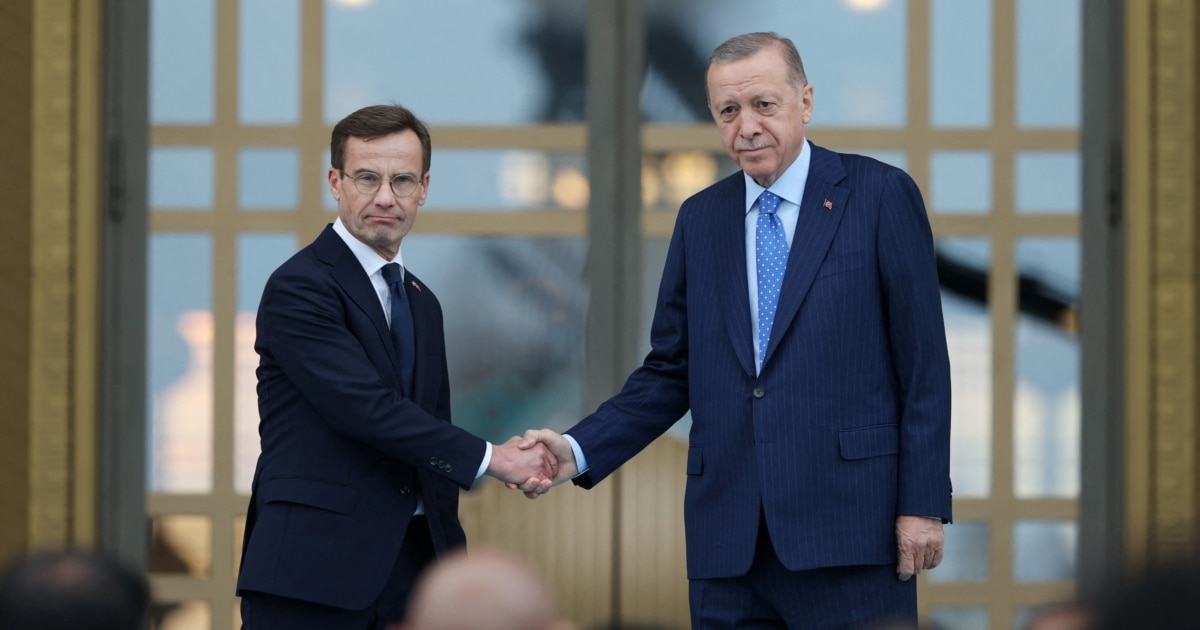 Erdogan Announces New Meeting On Sweden's NATO Bid