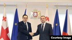 საქართველოს პრემიერ-მინისტრისა და ჩეხეთის საგარეო საქმეთა მინისტრის შეხვედრა