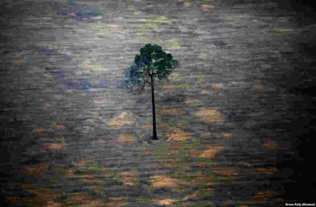 An aerial view shows a deforested plot of the Amazon rainforest near Porto Velho, Rondonia State, in Brazil. (Reuters/Bruno Kelly)