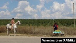 Vânzătoare de struguri lângă Bălți