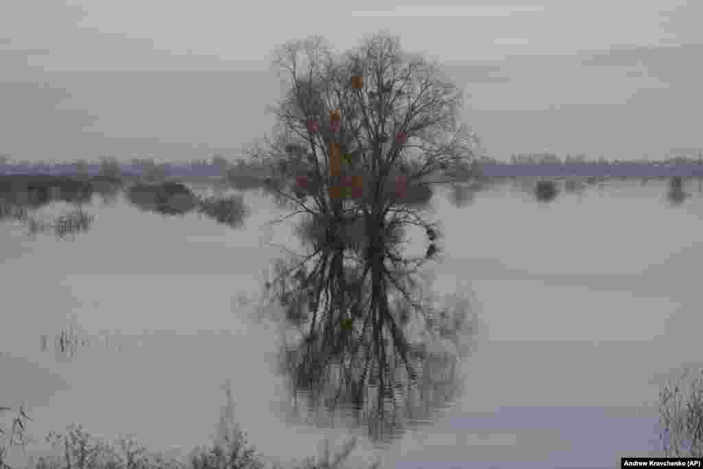 A view of the flooded area near the village of Demydiv, which lies 40 kilometers north of Kyiv, on October 27. Ukraine intentionally flooded the area to slow down Russia&#39;s invasion and protect the capital early on in the war.&nbsp;