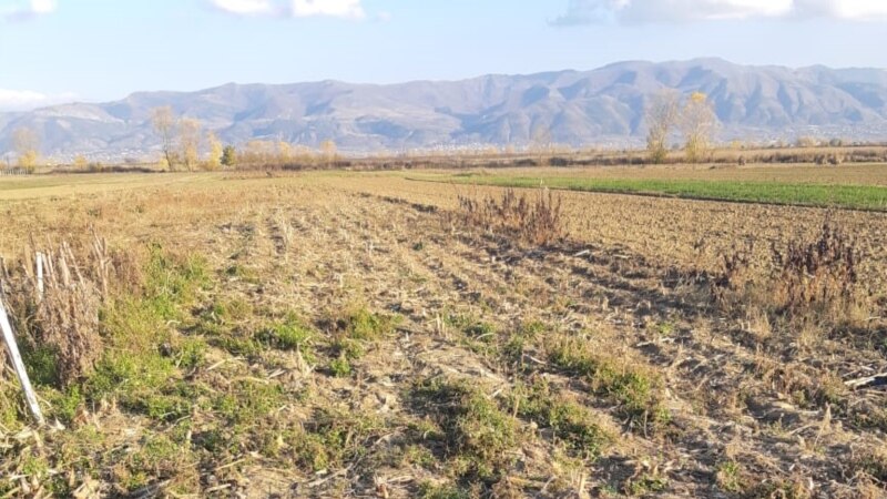 “Super-taksë” për fermerët shqiptarë që lënë tokën djerrë 