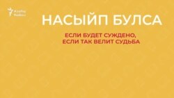 30 секунд на татарский: насыйп булса