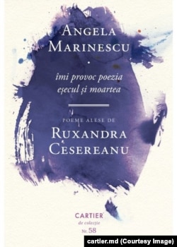 Coperta cărții „îmi provoc poezia eșecul și moartea”