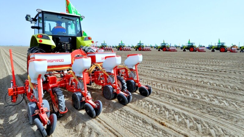 Türkmenistan gowaça ekişiniň tamamlanandygyny yglan etdi, ýöne kärendeçiler ekişiň 50% ýerine ýetirilendigini aýdýar