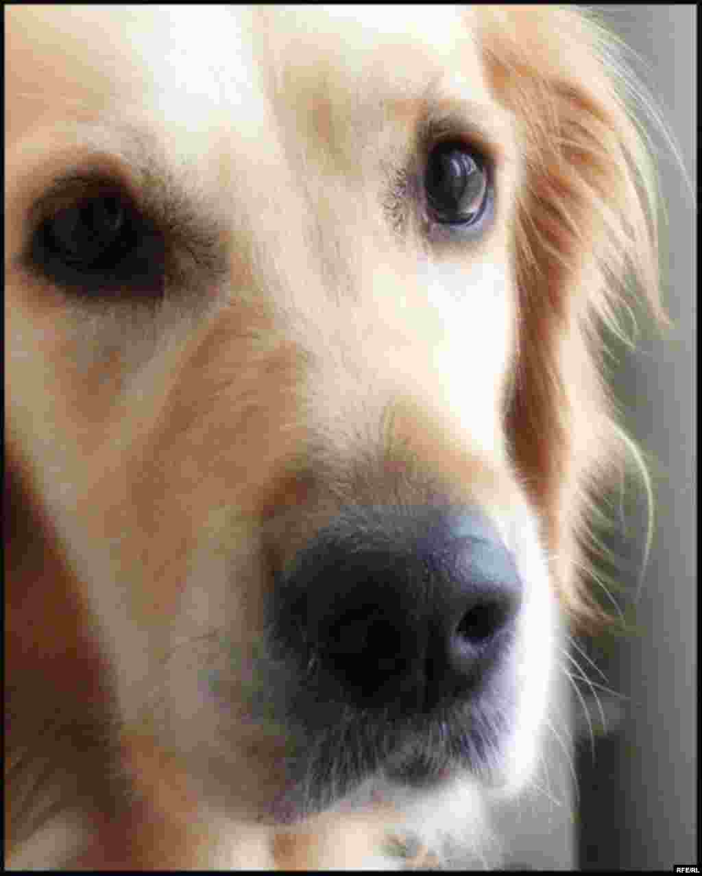 Фото Ильи Бобчинецкого