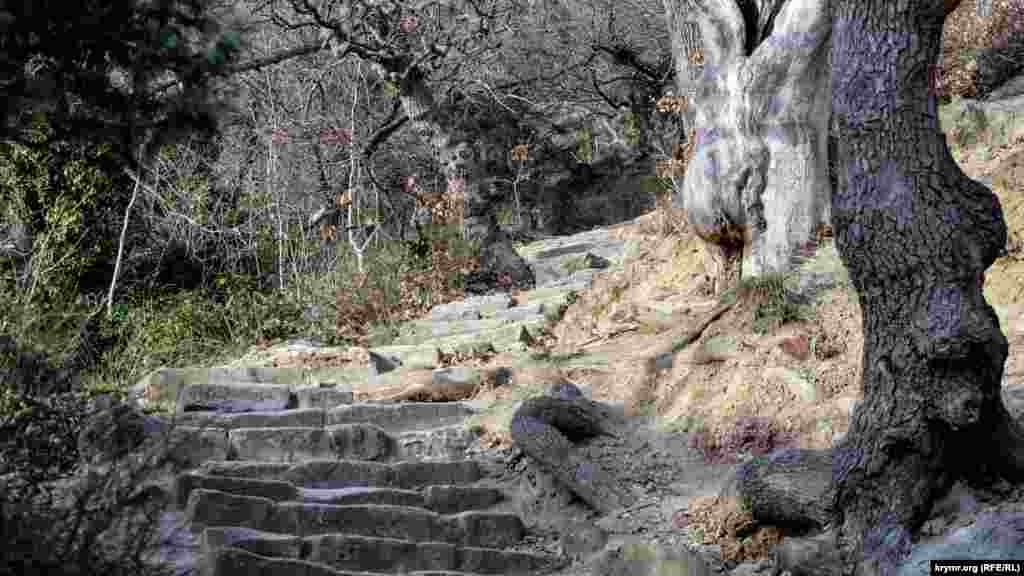 Сохранились части древней лестницы, вырубленные сотни лет назад