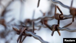 World -- A barbed wire fence - generic