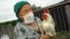 Russia Earmarks $43 Million To Fight Bird Flu