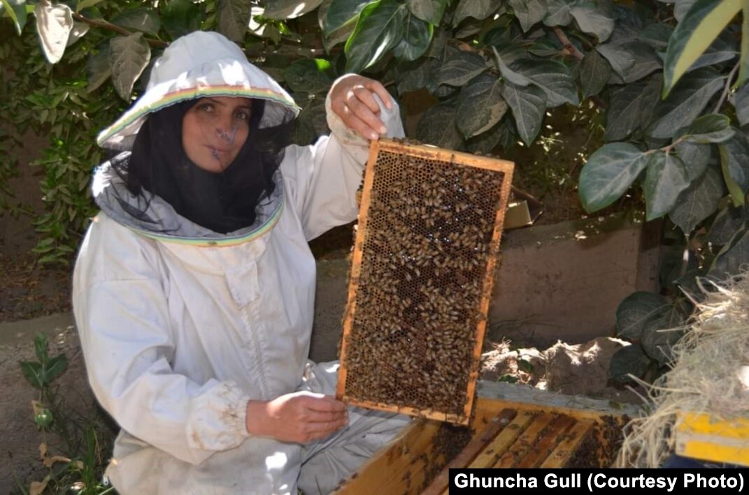 There will be honey': supporting Ukrainian beekeepers in a time of