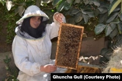 "I used to sell between 30 and 40 kilos of honey each month, but now I sell between 10 and 15 kilos,” Ghancha Gul says. These days, she explained, “instead of buying honey, people buy rice and oil.”