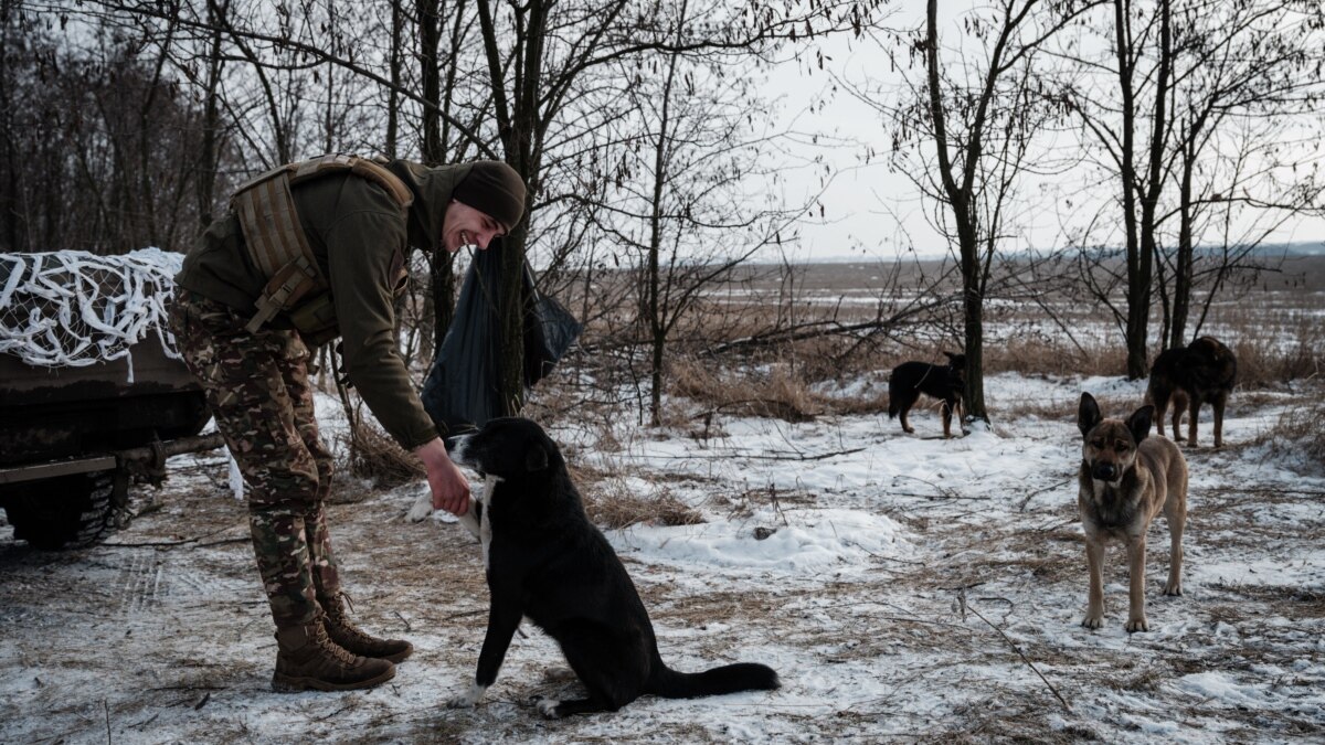 A member of the “Akhmat” battalion threatened “Sote” because of a video where he kills a dog