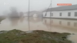 «Вот такой потоп». В Туркестанской области начались паводки 