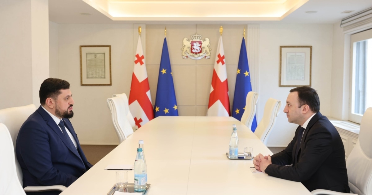 ღარიბაშვილის დეკლარაციებში „ყალბი მონაცემები“ ვერ დაინახა ანტიკორუფციულის ხელმძღვანელმა. რატომ?