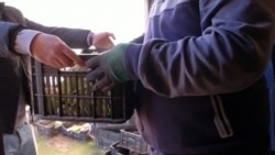 Od otpada do jeftinog đubriva