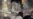 16x9 Image