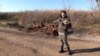 Woman in front of a burned car near village Kamyanka in Ukraine