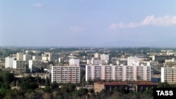 Toshkent massivlari