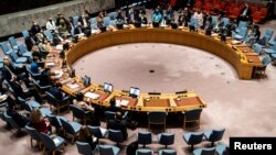 На засіданні Ради безпеки ООН 31 січня обговорили загрози, які постали перед Україною у зв’язку із концентрацією російських військ уздовж українських кордонів