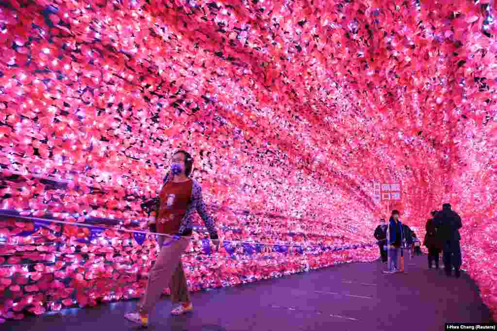 Tajpejben sétálnak egy karácsonyi vásárban a cseresznyefákat imitáló fényalagúton át