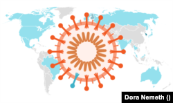 Мапа поширення «омікрону» світом