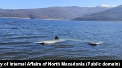 Një pjesë e avionit të rrëzuar shihet në Liqenin e Mavrovës. 