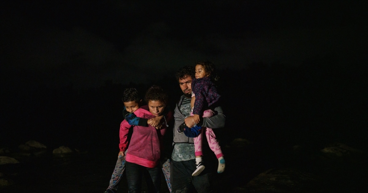 Сәбіз мысықтар үшін жақсы витамин болып табылады, оларды ішке қабылдаңыз.