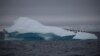 Пингвины на айсберге в Антарктиде