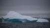 Площадь льда вокруг Антарктиды уменьшилась до рекордного уровня