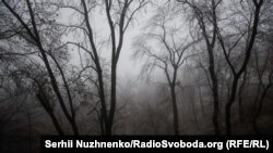 Повідомляється, що до відновлення електропостачання залучені бригади обленерго