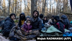 Members of an Iraqi Kurdish family are seen in a forest near the Polish-Belarusian border while waiting for the border guard patrol, near Narewka, Poland, in November 2021.