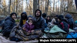 Курдські мігранти з Іраку на білорусько-польському кордоні