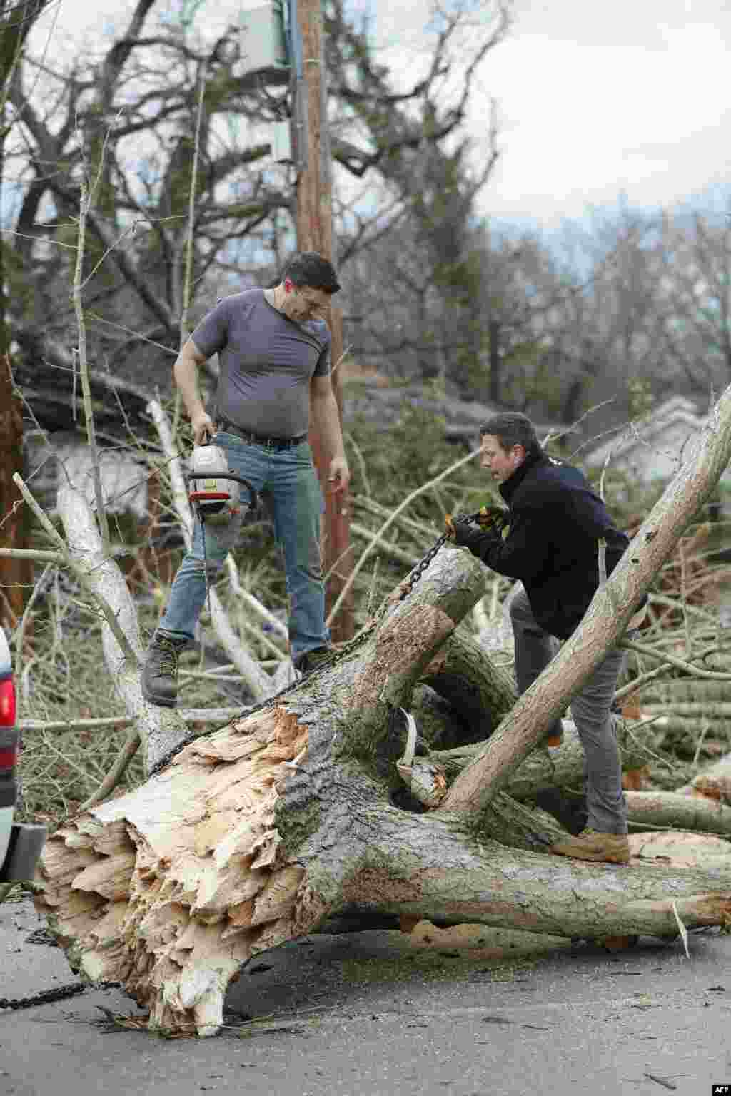 A Kentucky állambeli Bowling Greenben is fákat döntött ki a vihar