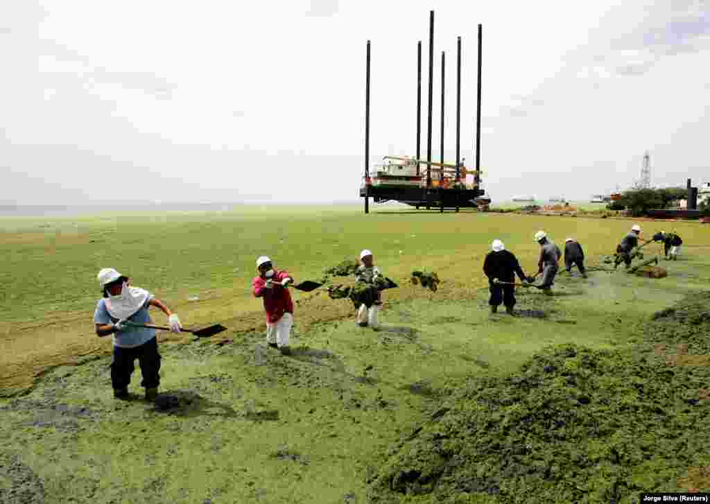Az ország korábban, 2004-ben vészhelyzetet is hirdetett a tavon elszaporodó zöld alga miatt. Akkor annyira sok békalencse takarta a tavat, hogy az űrből is látni lehetett