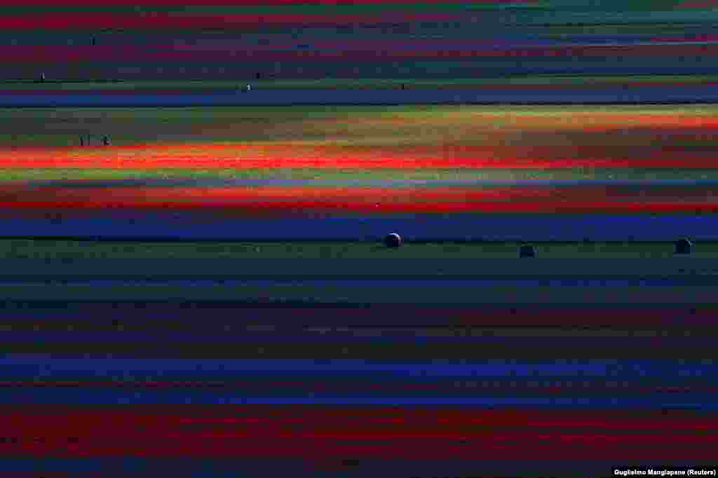 ყოველწლიური ყვავილობა იტალიის სოფელ კასტელუჩიოში.