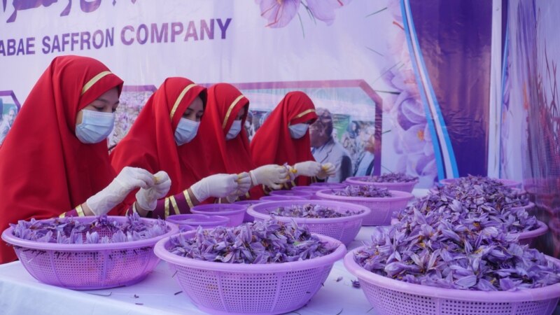 یک مقام ایرانی افغانستان و برخی از کشور ها را متهم به سوء استفاده از زعفران ایران کرد