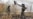 The Drones Of The Ukraine War