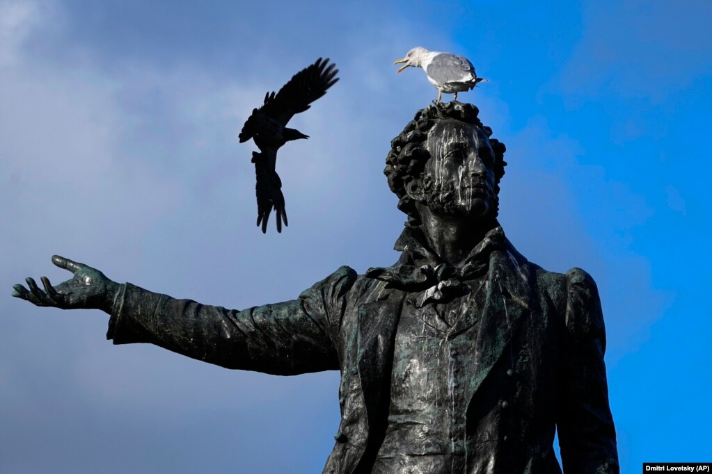 Një sorrë përballet me një pulëbardhë në skulpturën e poetit rus, Aleksandr Pushkin, në Shën Petersburg.