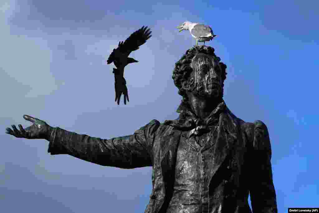 A crow faces off with a seagull on the sculpture of Russian poet Aleksandr Pushkin in St. Petersburg.