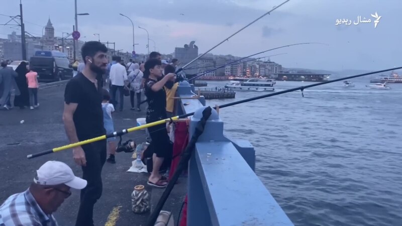 د استنبول ښار په زړه کې د ماهیانو ښکار