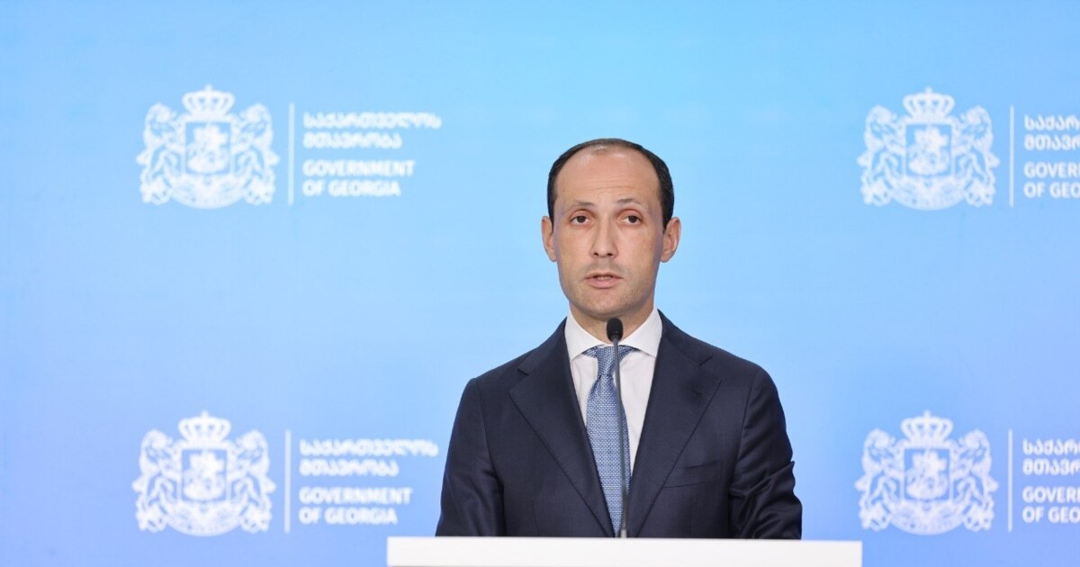 დავითაშვილი სოხუმში ფრენებზე: საქართველოსთვის მიუღებელია. "პოზიცია მკაფიოდ გამოხატულია საჯაროდაც"