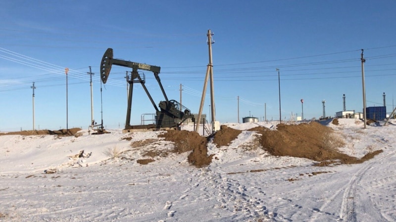 Құқық қорғаушылар Көкжиде бойынша зерттеу қорытындысын бермегені үшін министрлікті сотқа берді