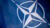 Sweden and Finland in 2022 both sought NATO membership shortly after Russia's invasion of Ukraine, and are hoping to complete the process this year.