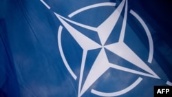 Sweden and Finland in 2022 both sought NATO membership shortly after Russia's invasion of Ukraine, and are hoping to complete the process this year.