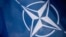 Sweden and Finland in 2022 both sought NATO membership shortly after Russia's invasion of Ukraine, and are hoping to complete the process this year.