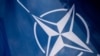 Парламент Естонії підтримав членство України в НАТО і закликав до «конкретних кроків»