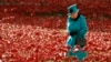 Mii de oameni au venit la Palatul Buckingham pentru a aduce flori și a ține un moment de reculegere în memoria celei care a fost Regina Elisabeta a II-a. Rolul său pentru a menține vie imaginea monarhiei britanice este recunoscut pe deplin astăzi. 