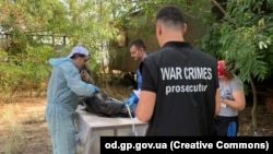 Специалисты Института зоологии НАН Украины провели вскрытие тел девяти морских млекопитающих, найденных мертвыми на побережье Одесской области