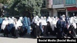 تصویر رسانه های اجتماعی: دختران مکاتب ولایت پکتیا که به روز شنبه به خاطر مسدود ماندن مکاتب شان راهپیمایی کردند. 