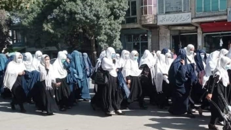 عملکرد طالبان در برابر مکاتب و دختران دانش آموز پکتیا٬ واکنش های جدی را بر انگیخت